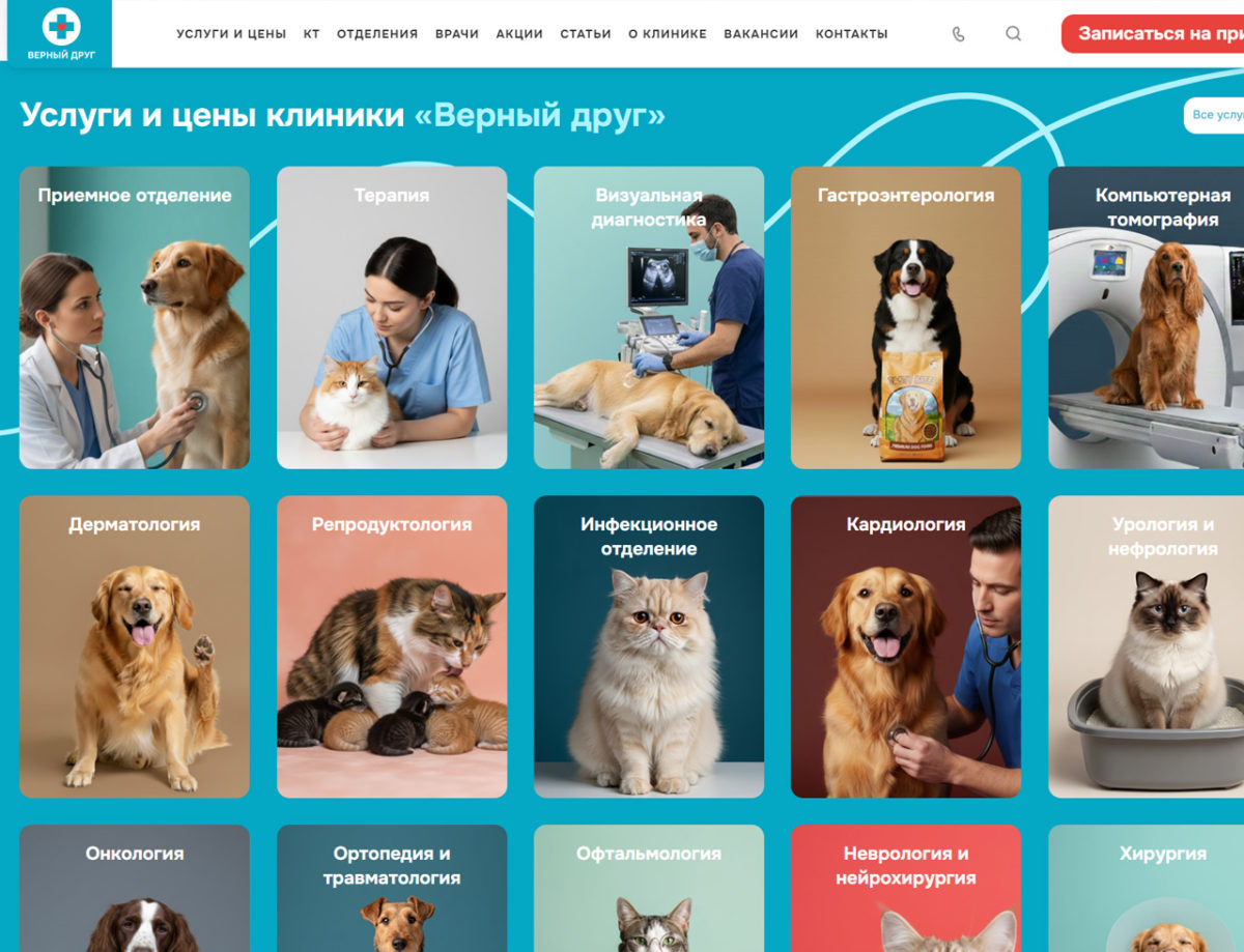 Разработка сайта ветеринарной клиники «Верный друг»
